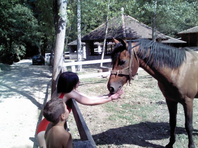 kako pokazati detetu da mu konj sigurno nece odgristi ruku :D