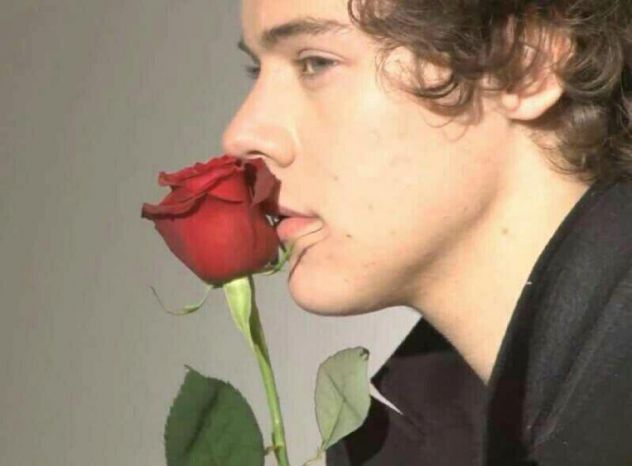 WoW...At this moment I really wish I was that rose *o*