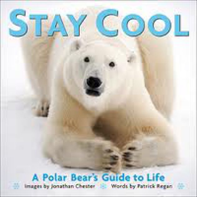 Stay Cool Baby ;))