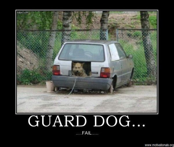 Guard dog