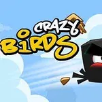 Logotip in risana slika jeznega črnega ptiča za igro Crazy Birds z modrim oblačnim ozadjem