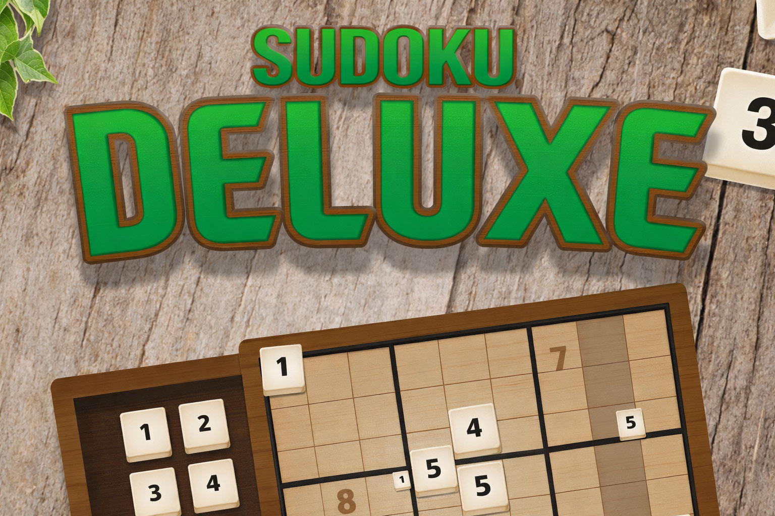 Igra Sudoku Deluxe Na Igre 123