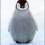 pingvin123