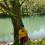 Pintar