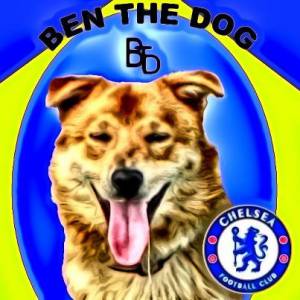 Ben the dog