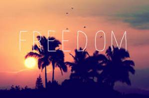 Freedom12