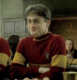 Harry J. Potter