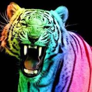 Muca-tiger Igre Muca-tiger Igre