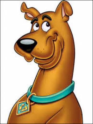 Scooby D. Doo