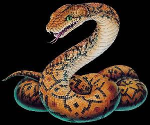 Snake28