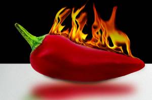 spiceyyy spiceyyy