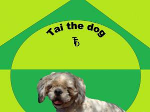 Tai the dog