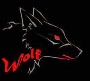 Wolfy YT