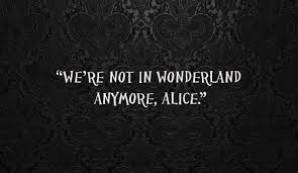 Wonderland;$
