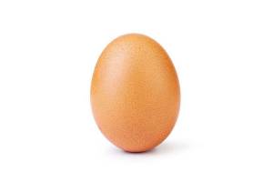 WorldRecordEgg WorldRecordEgg